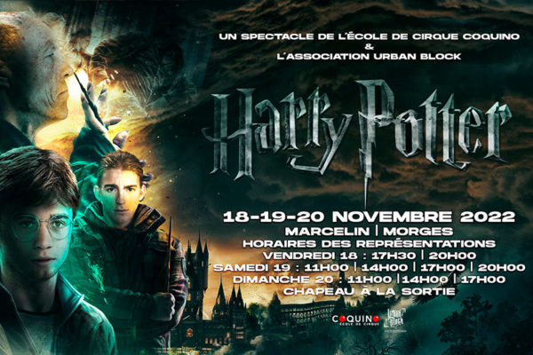 Spectacles en vue ! Harry Potter